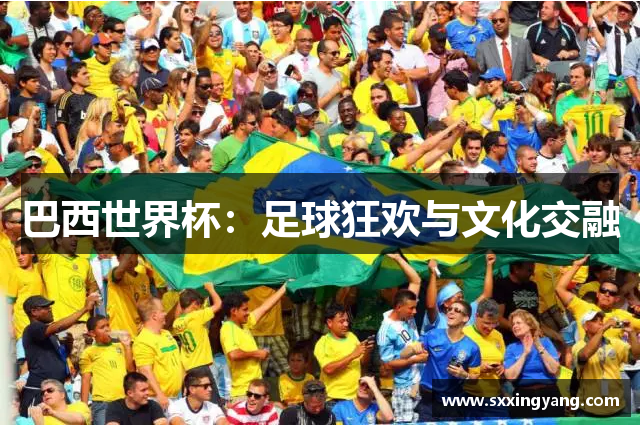 巴西世界杯：足球狂欢与文化交融